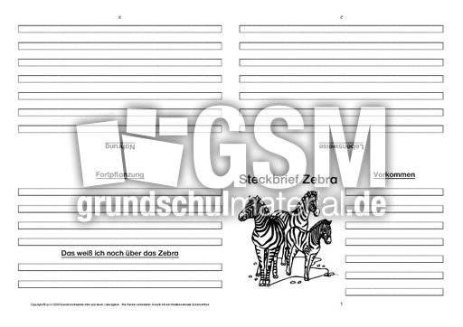 Zebra-Faltbuch-vierseitig-5.pdf